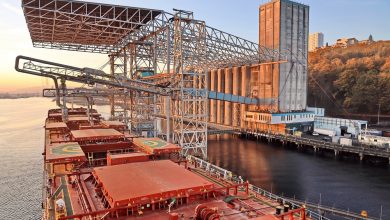 Grain industry investment opportunities