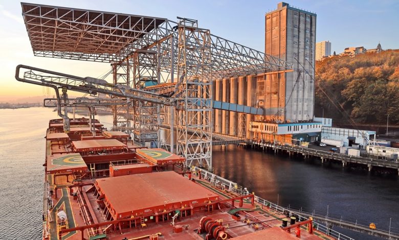Grain industry investment opportunities