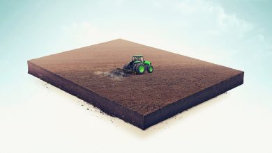 chemical fertilizer price increase