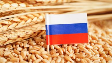 increase grain exports Russia