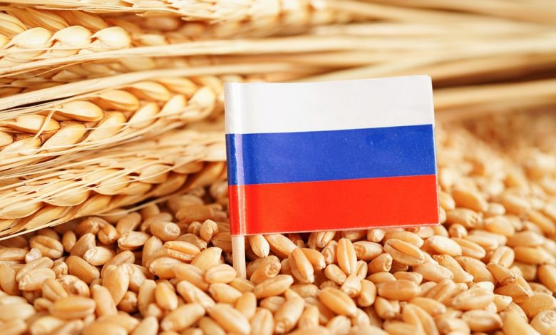 increase grain exports Russia