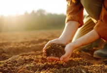 Iran’s Fertilizer Industry Has Only Two Months of Supply Resilience Left
