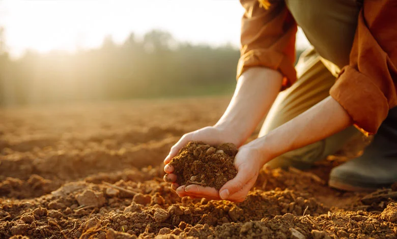 Iran’s Fertilizer Industry Has Only Two Months of Supply Resilience Left