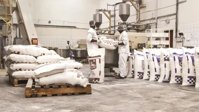 Subsidy Reform and Wheat Market Liberalization: The Key to the Future of Iran's Flour Industry