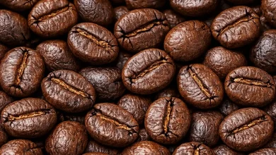 War and Shipping Disruptions Push Coffee Prices Up by 40% in Iran