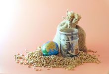چالش‌های واردات غلات ایران