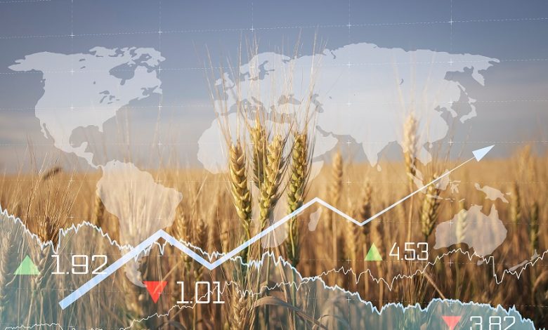 چالش‌های واردات کالاهای اساسی