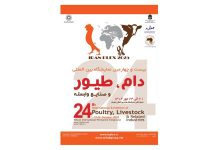 رشد مشارکت در نمایشگاه دام و طیور