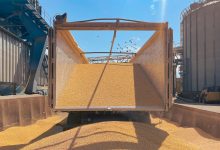 شرکت پشتیبانی امور دام