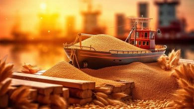 Why is linking oil and grain a strategic mistake?