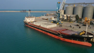 افزایش قیمت گندم و تأثیر آن بر صنعت نشاسته و گلوکز