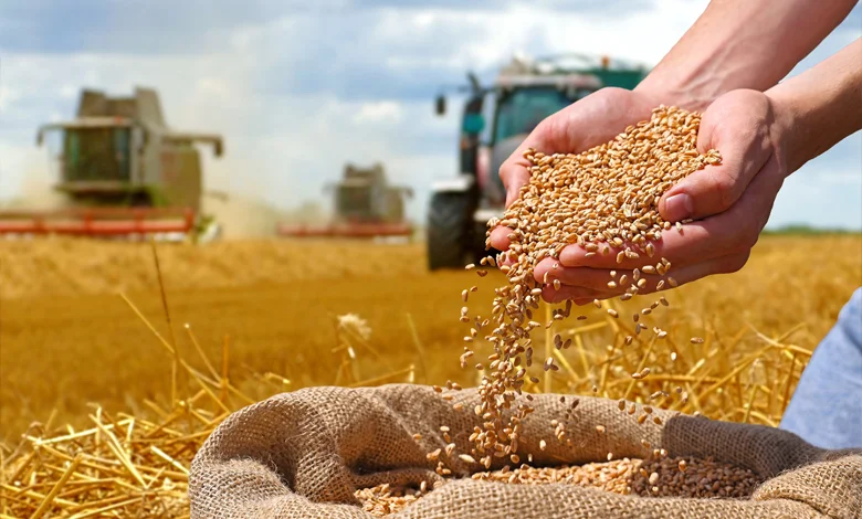 تخلیه غلات وارداتی در بندر و تأمین کالاهای اساسی